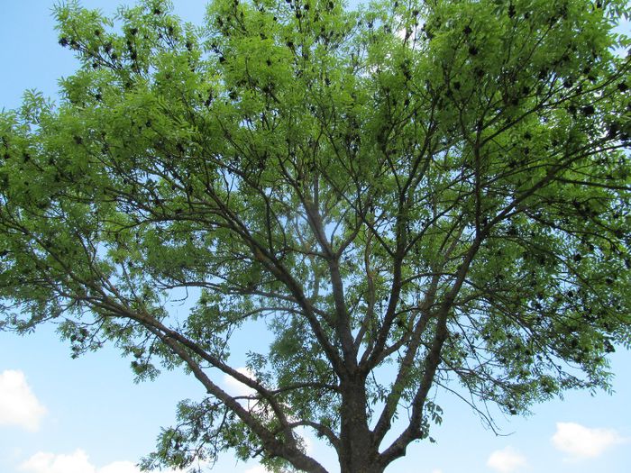  - Diverse 1 - Plimbari