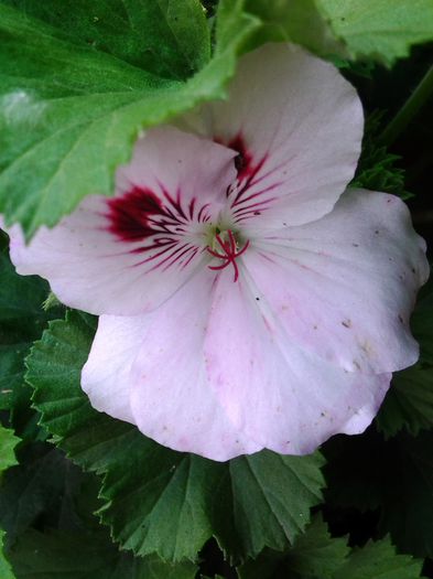 20140517_091525