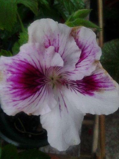 20140518_203751
