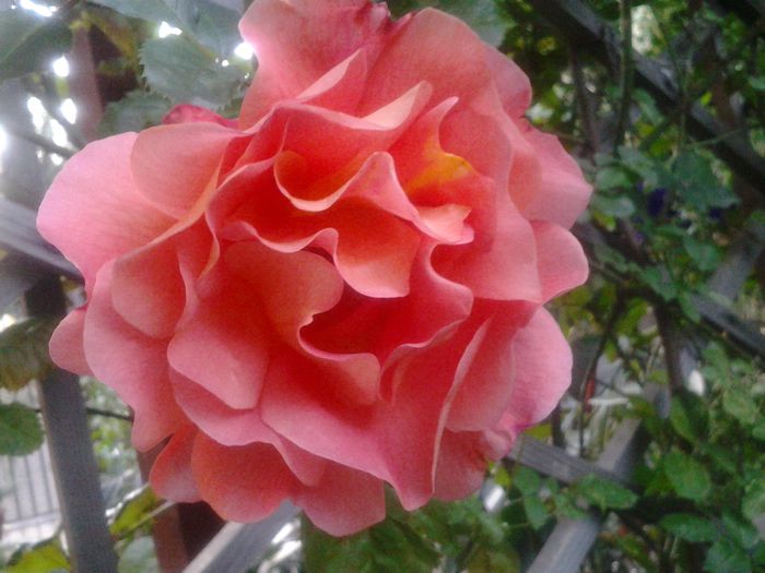 20140518_203648