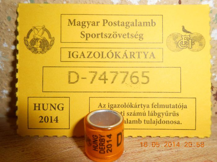 HUNG 2O14 DERBY - UNGARIA