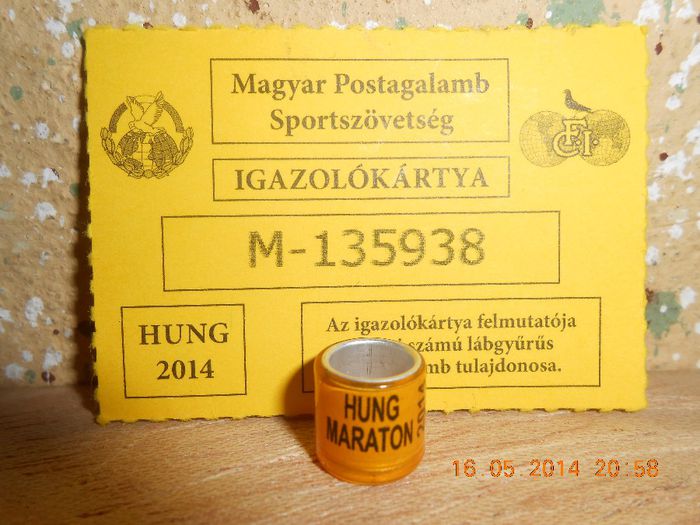 HUNG MARATON - UNGARIA