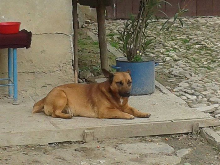 10341643_249147248618717_8574143599397570661_n