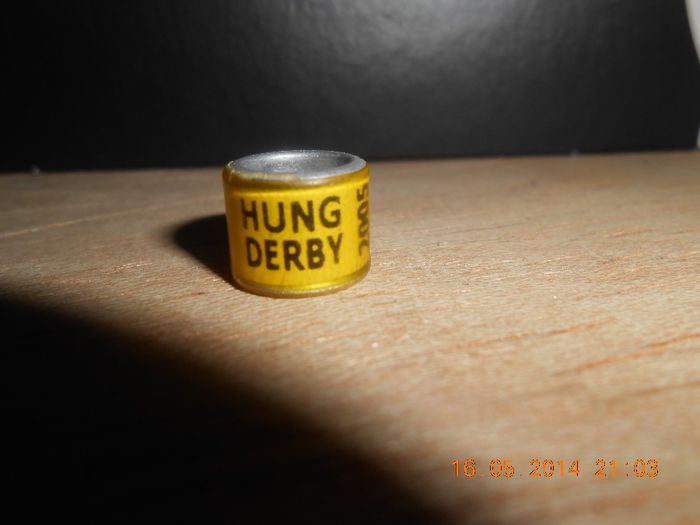 HUNG  DERBY 2005 - UNGARIA