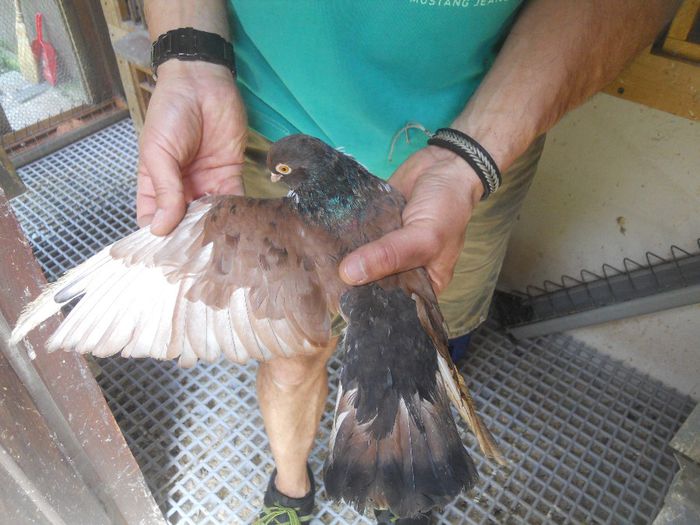 DSCN2339 - 1805 Catalin Radu