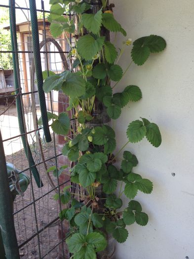 Turn din peturi, experiment reusit; M-am inspirat de pe youtube: http://www.youtube.com/watch?v=K9vN2eudWcQ
