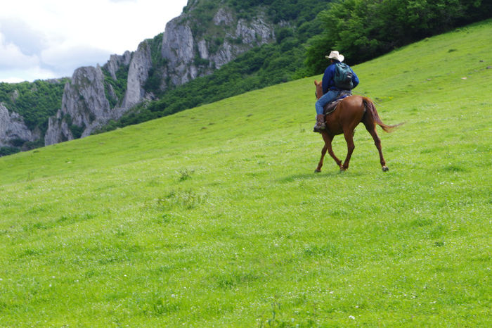 Cheile Turzii 062 - Cheile Turzii