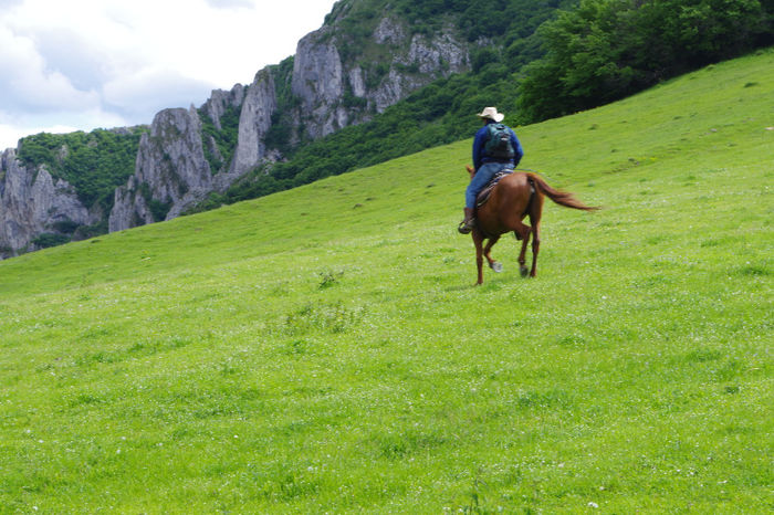 Cheile Turzii 063 - Cheile Turzii