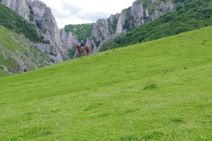 Cheile Turzii 065 - Cheile Turzii