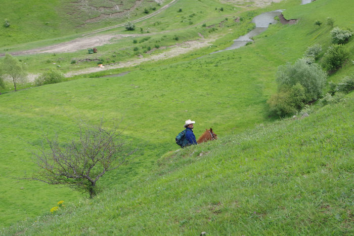 Cheile Turzii 067 - Cheile Turzii