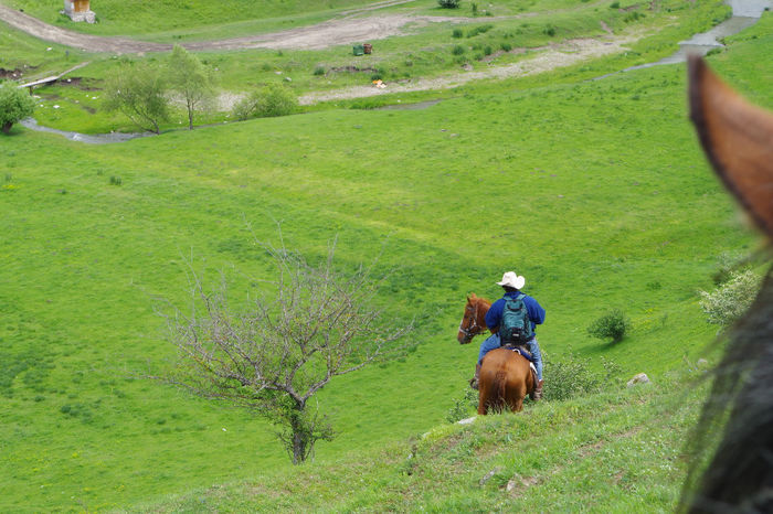 Cheile Turzii 068 - Cheile Turzii