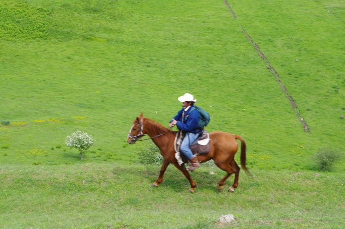 Cheile Turzii 069 - Cheile Turzii