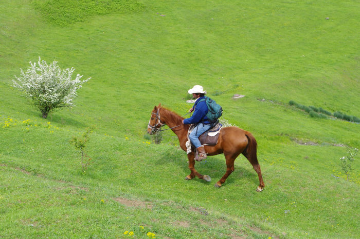 Cheile Turzii 070 - Cheile Turzii