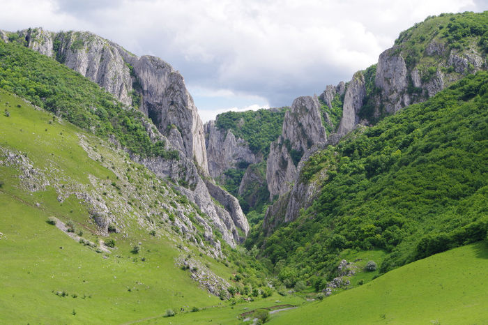 Cheile Turzii 071 - Cheile Turzii