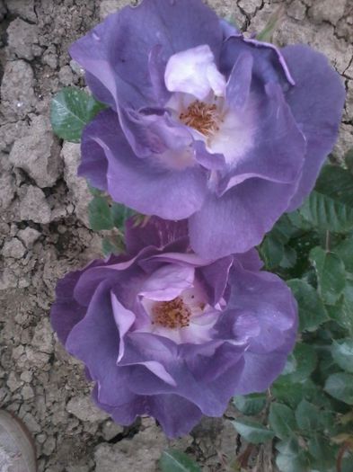 2014-05-13 18.55.36