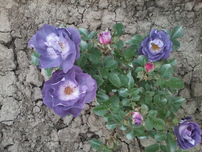 2014-05-13 16.28.35