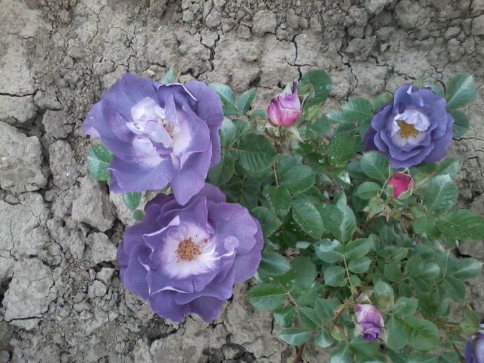2014-05-13 16.28.40