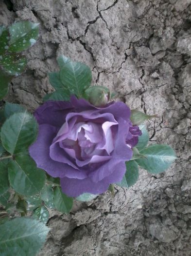 2014-05-13 18.55.22