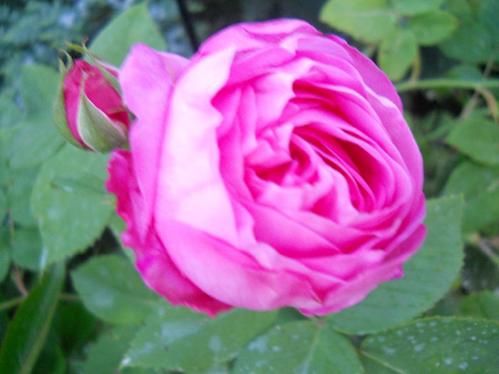 DSCN3425_136