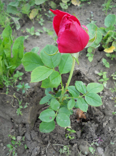 DSCN9702