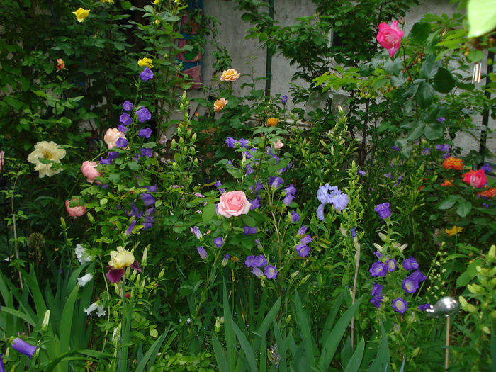 DSC00175