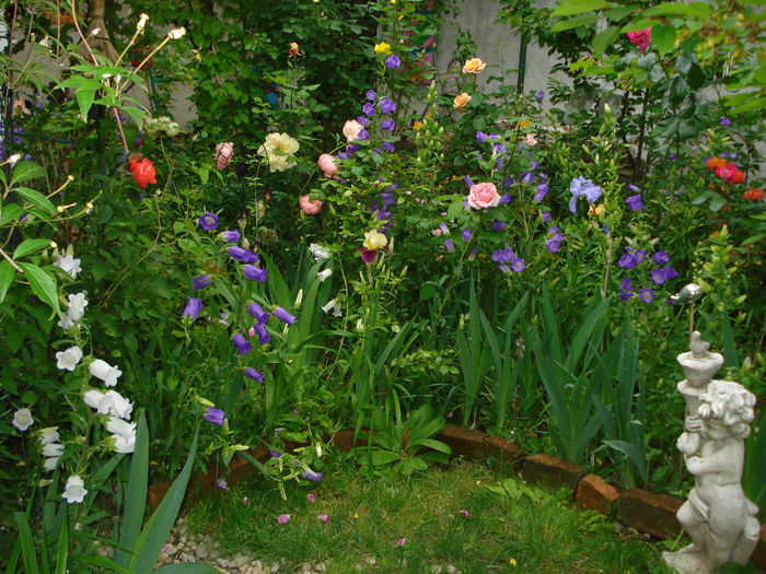 DSC00182 - Gradina in 2014