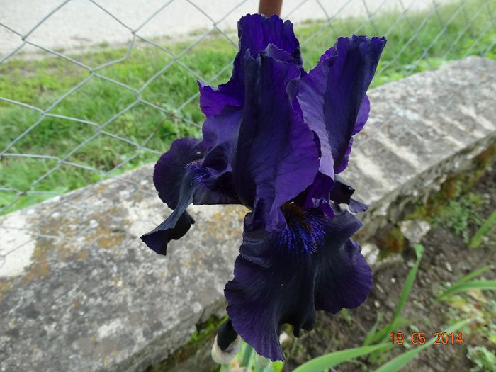 DSC03534