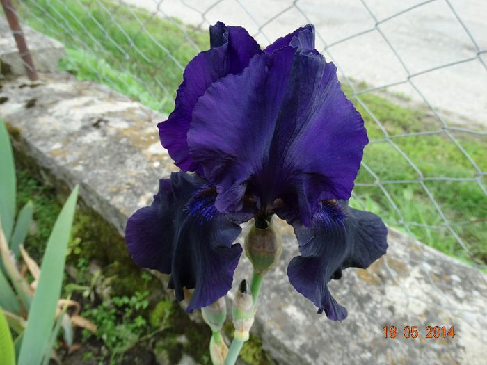 DSC03533