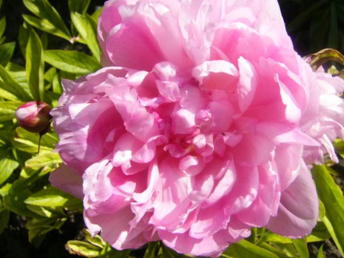 P1210538