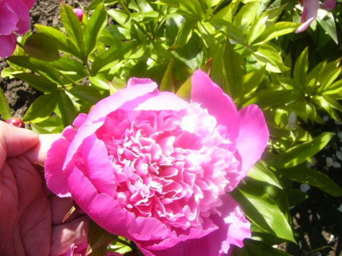 P1210550