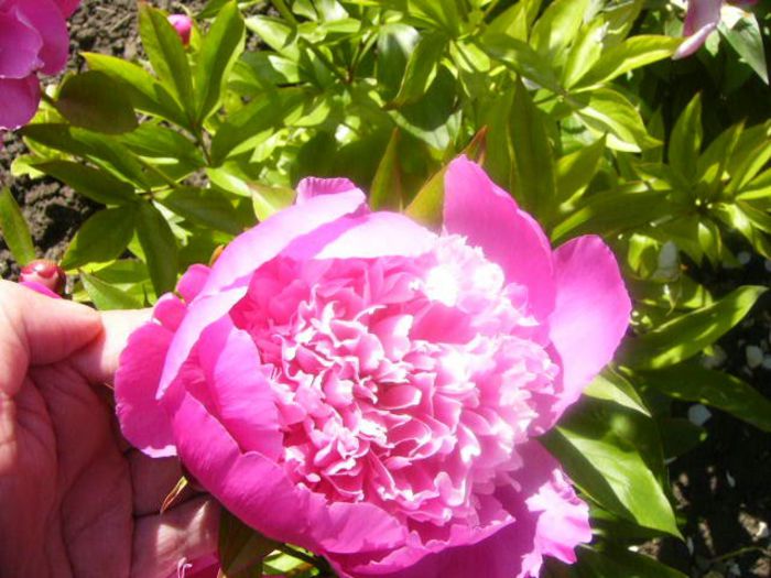 P1210551