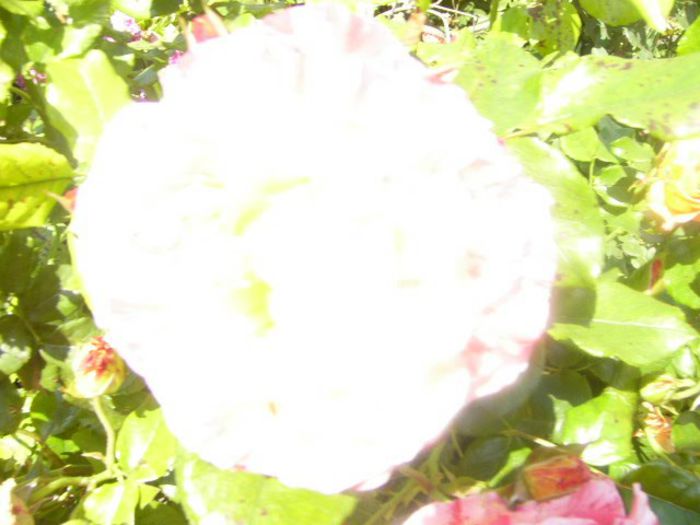 P1210560