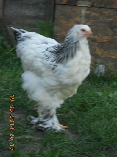 024 - pui 2014