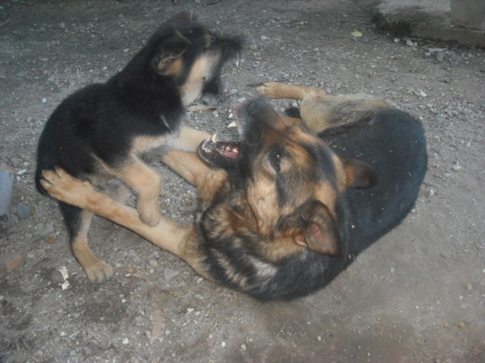 DSCF0323 - y CAINII NOSTRI