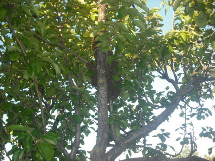 DSCF0340 - Z STUPII NOSTRI