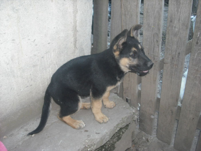 DSCF0364 - y CAINII NOSTRI