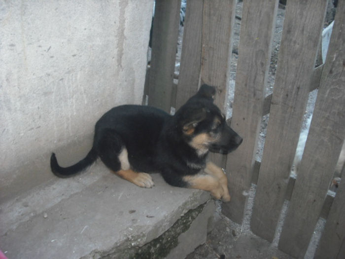 DSCF0365 - y CAINII NOSTRI