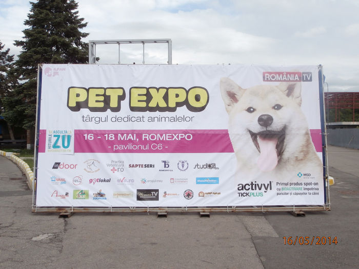 P5160144 - 53 - PET EXPO 2014 Targul animalelor de tot felul