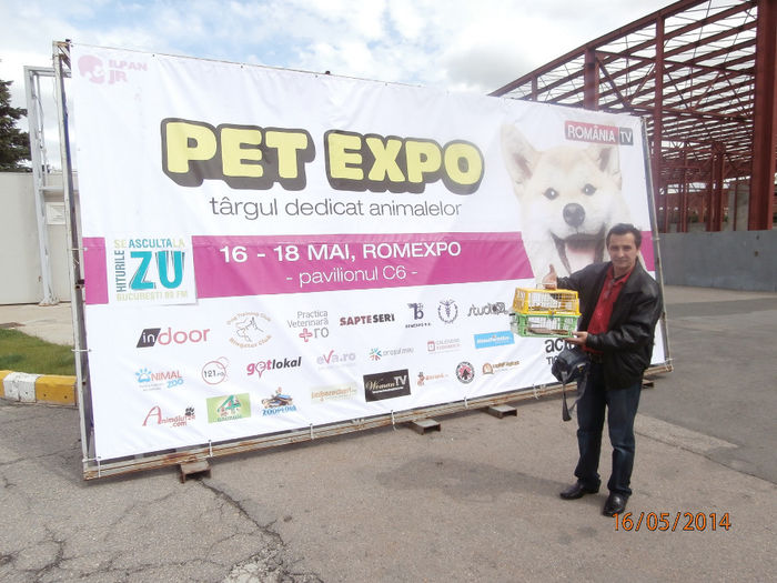 P5160149 - 53 - PET EXPO 2014 Targul animalelor de tot felul