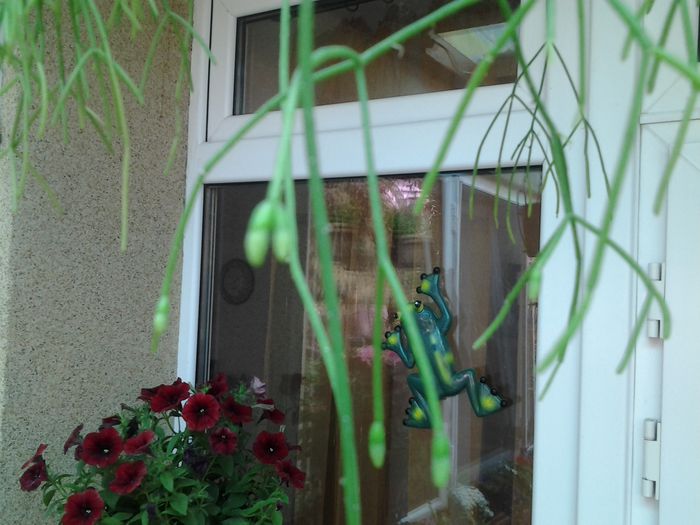 20140520_134120 - 1mai