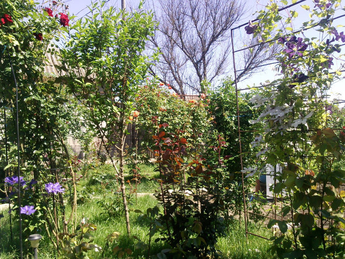 Photo2684