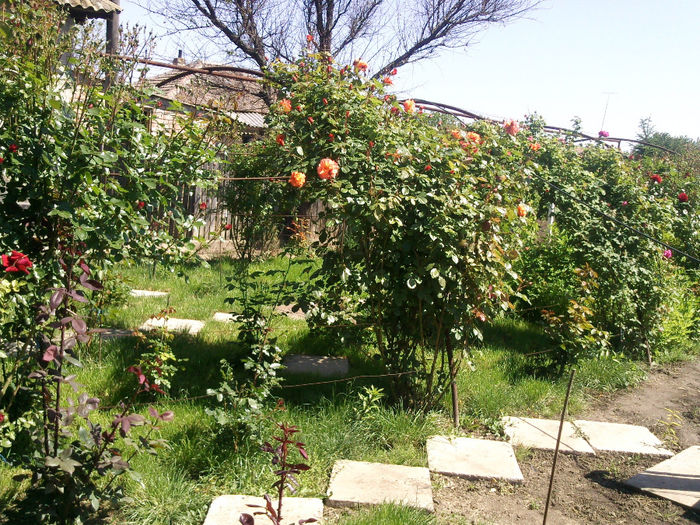 Photo2691