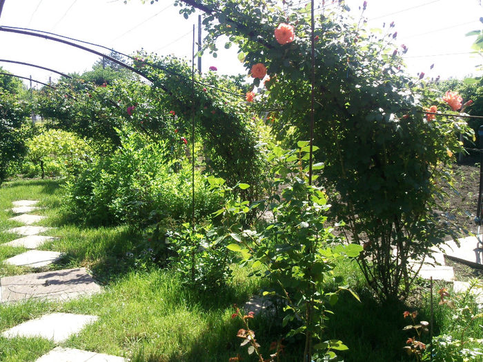 Photo2692