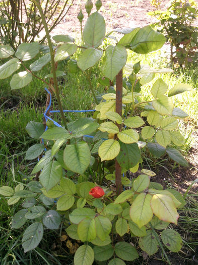 Photo2693