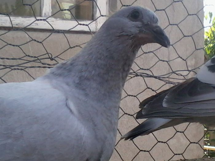 Photo0064