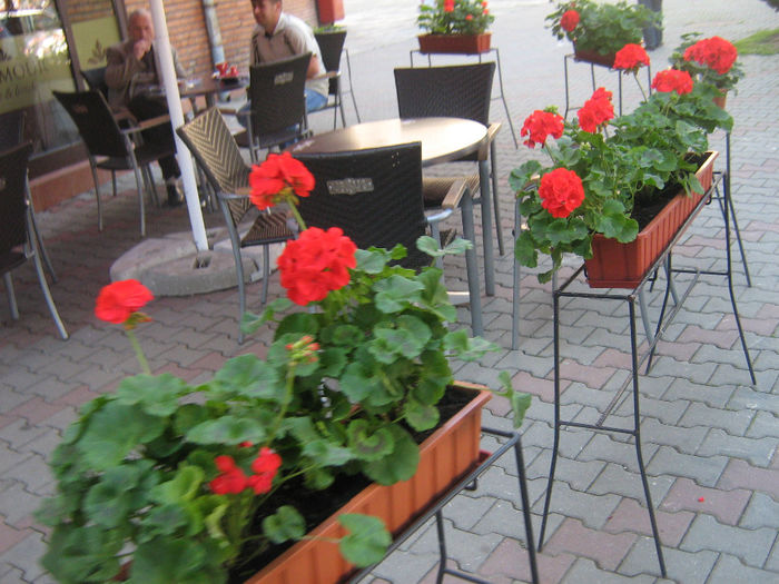 orasul Bistrita 066