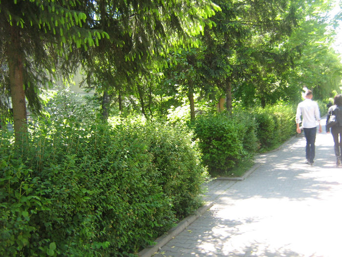 orasul Bistrita 077