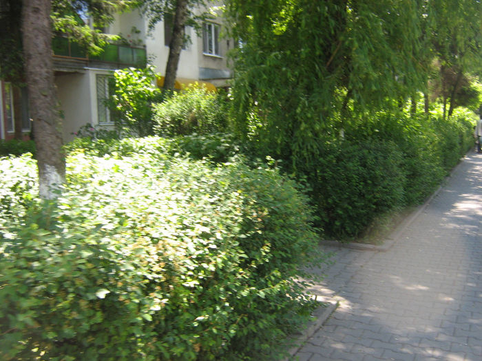 orasul Bistrita 078