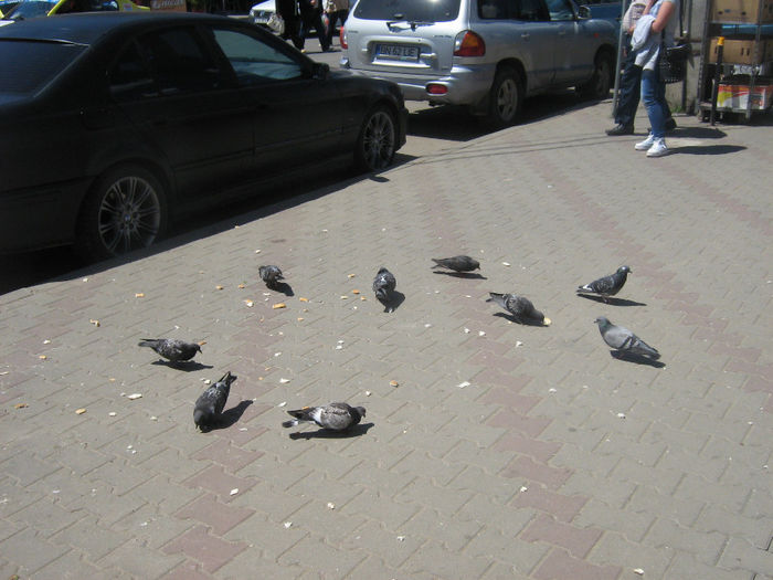 orasul Bistrita 084