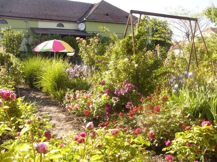 P1210651 - Gradina 2014 II